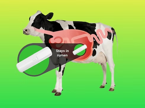 Applications of LoRa Wireless Technology in Smart Agriculture IoT